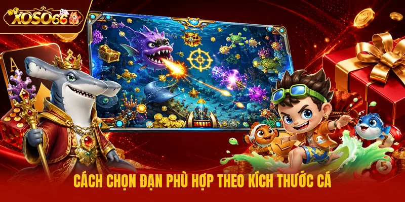 Cách chọn đạn phù hợp theo kích thước cá