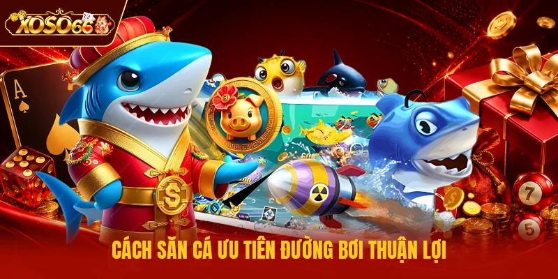 Cách săn cá ưu tiên đường bơi thuận lợi