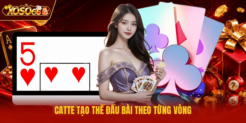 Catte tạo thế đấu bài theo từng vòng