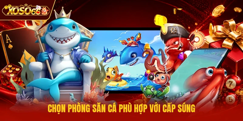 Chọn phòng săn cá phù hợp với cấp súng