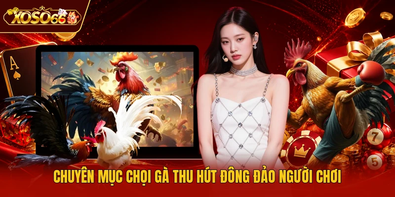Chuyên mục chọi gà thu hút đông đảo người chơi